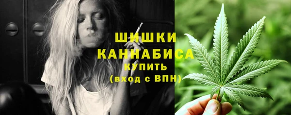 каннабис Новозыбков