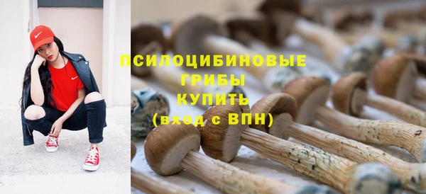 мдпв Новокубанск