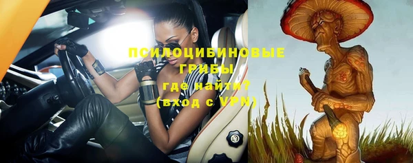 прущие крисы Новодвинск