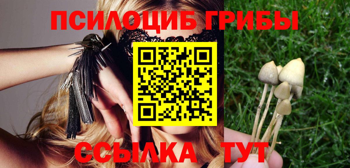 Псилоцибиновые грибы мухоморы Рыбинск