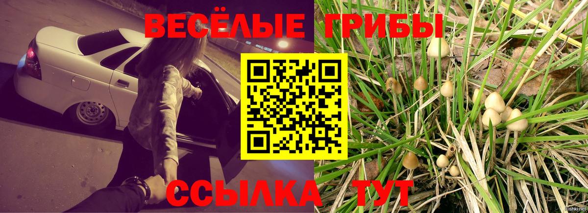 Рыбинск  Псилоцибиновые грибы Cubensis  купить наркотик  Вход с VPN 
