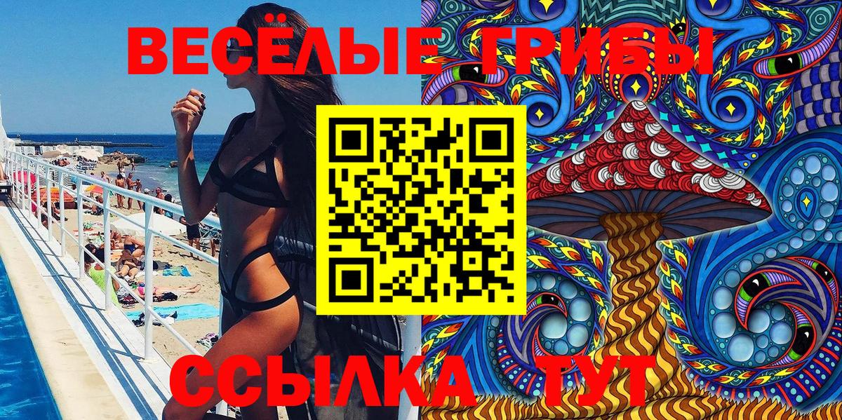 Псилоцибиновые грибы Psilocybe  Псилоцибиновые грибы Psilocybine cubensis  Рыбинск 